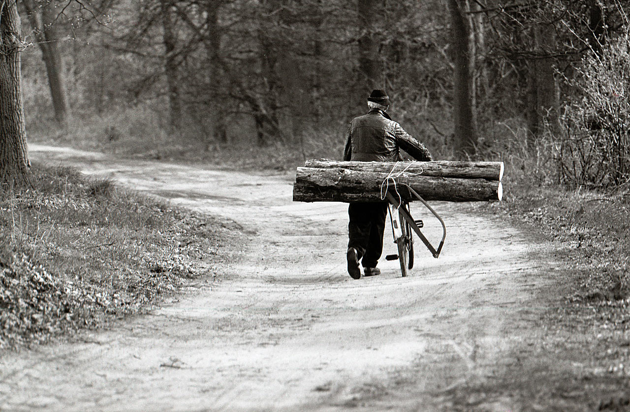 2016-06-12-Holztransport-gg-6.33 Holztransport (Foto: Günter Giese)
