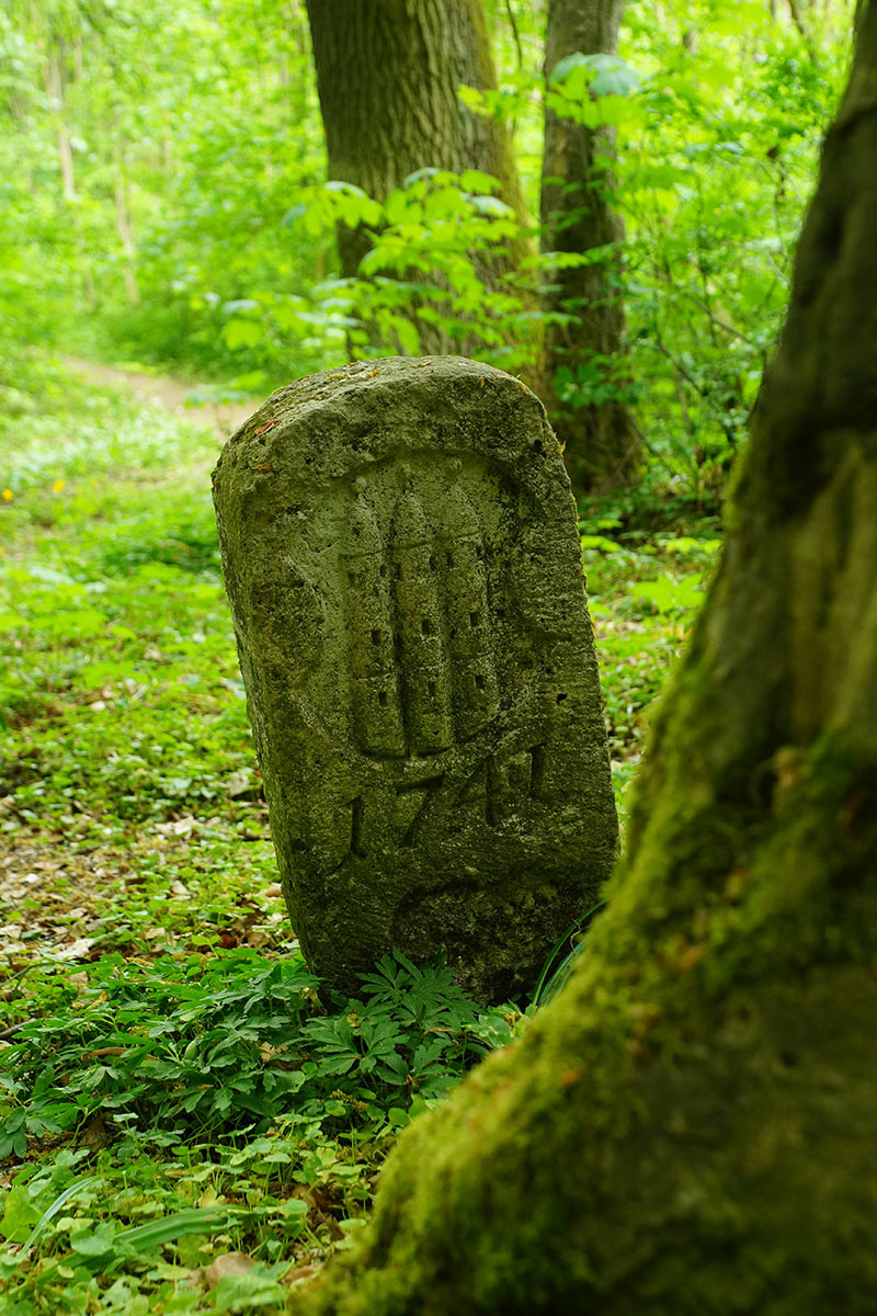 2016-06-30-Zeitzeuge-sr-5 Zeitzeuge (Foto: Sylvi Raakow)