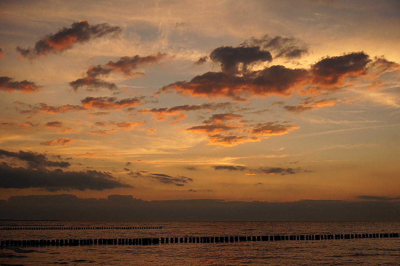 Fotoclub: Bild des Monats 10.2023