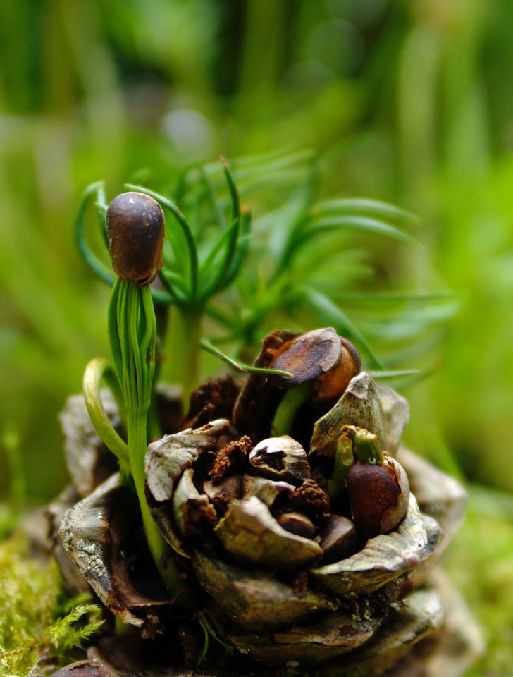 Ende & Anfang (Foto: Sylvi Raakow)