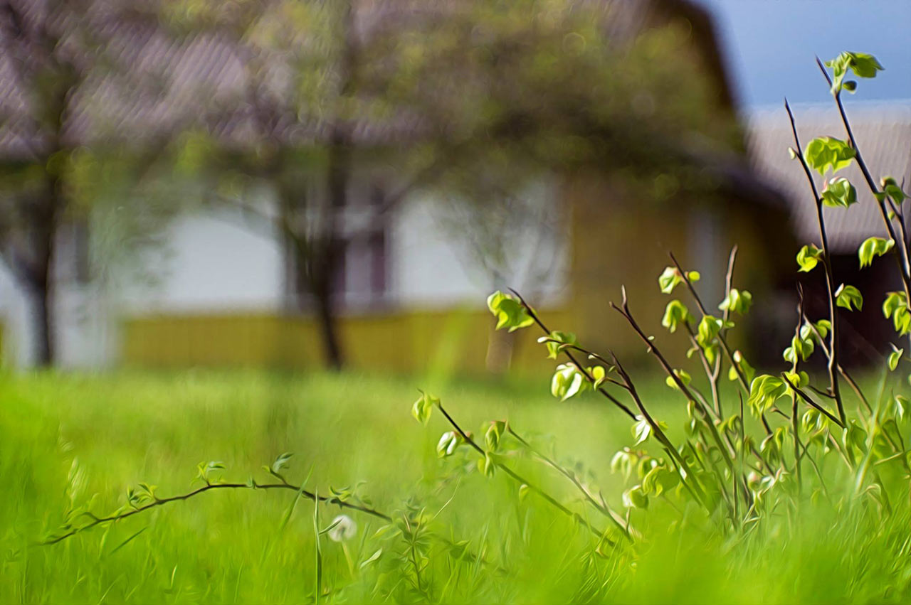 Grün (Foto: Uljana Bardsij)