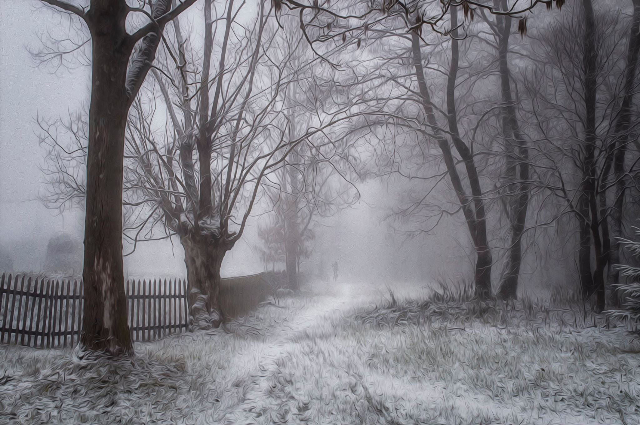 Neblig (Foto: Uljana Bardsij)