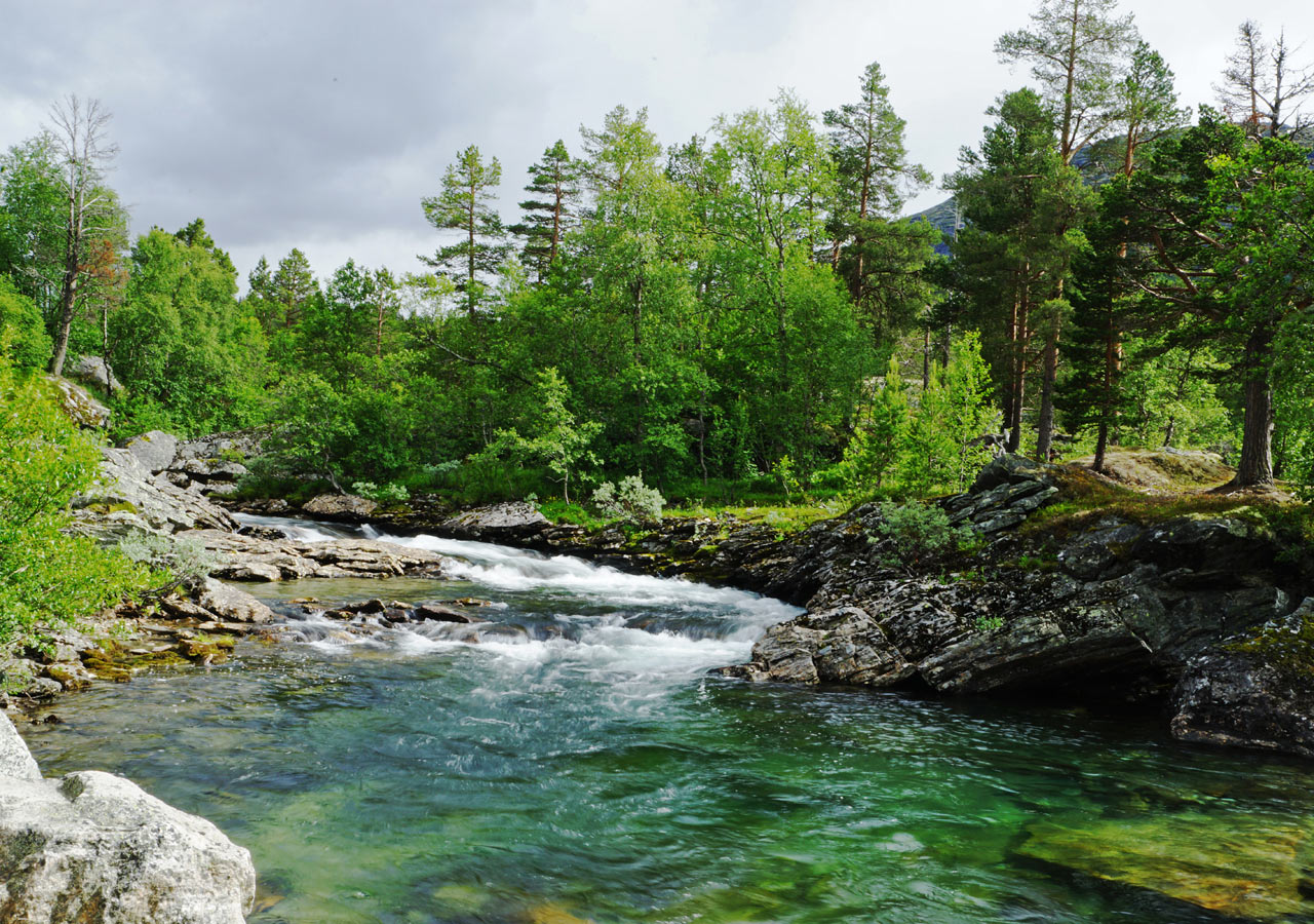 Rauma River (Foto: Sylvi Raakow)