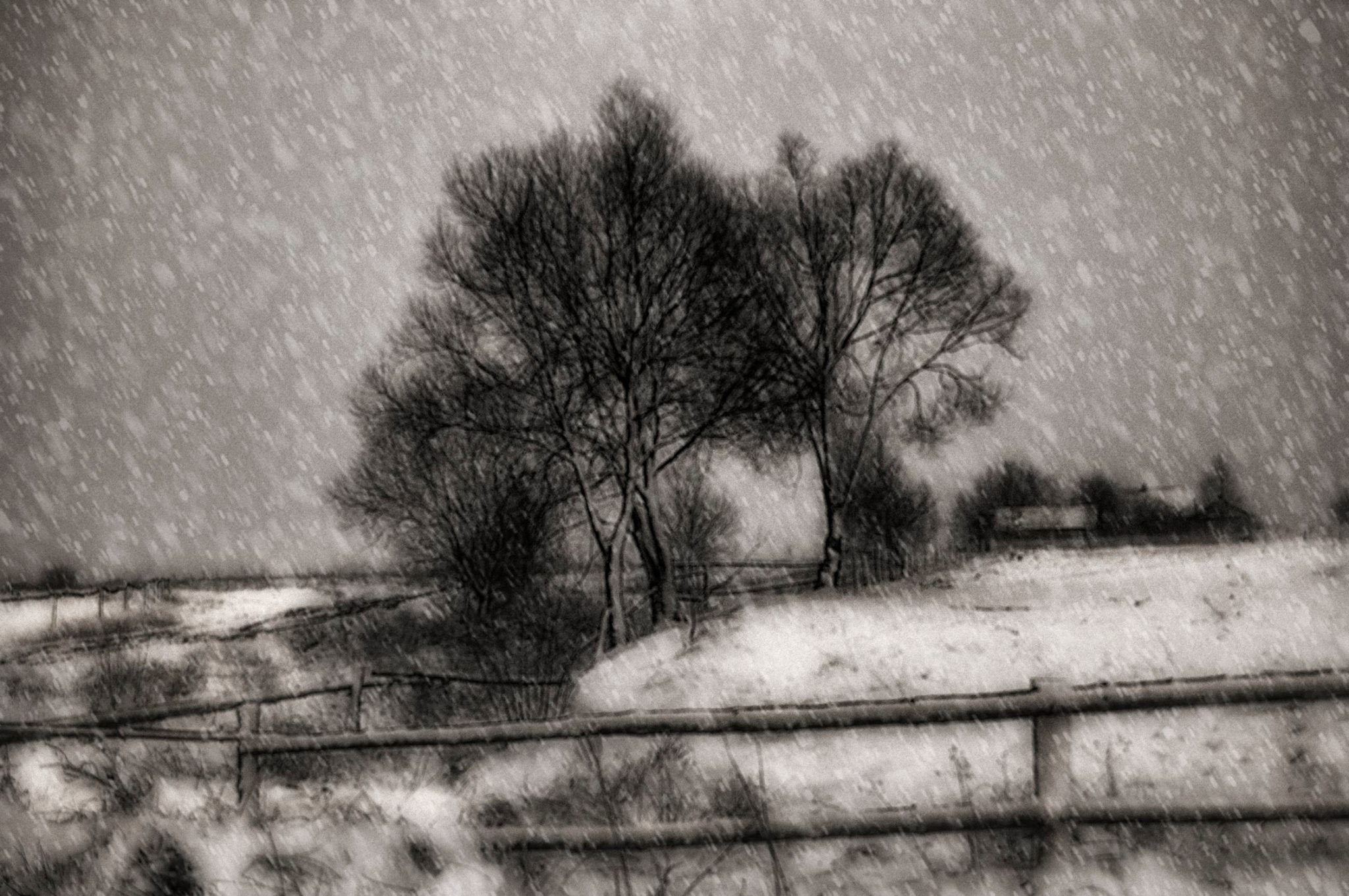 Schneetreiben (Foto: Uljana Bardsij)