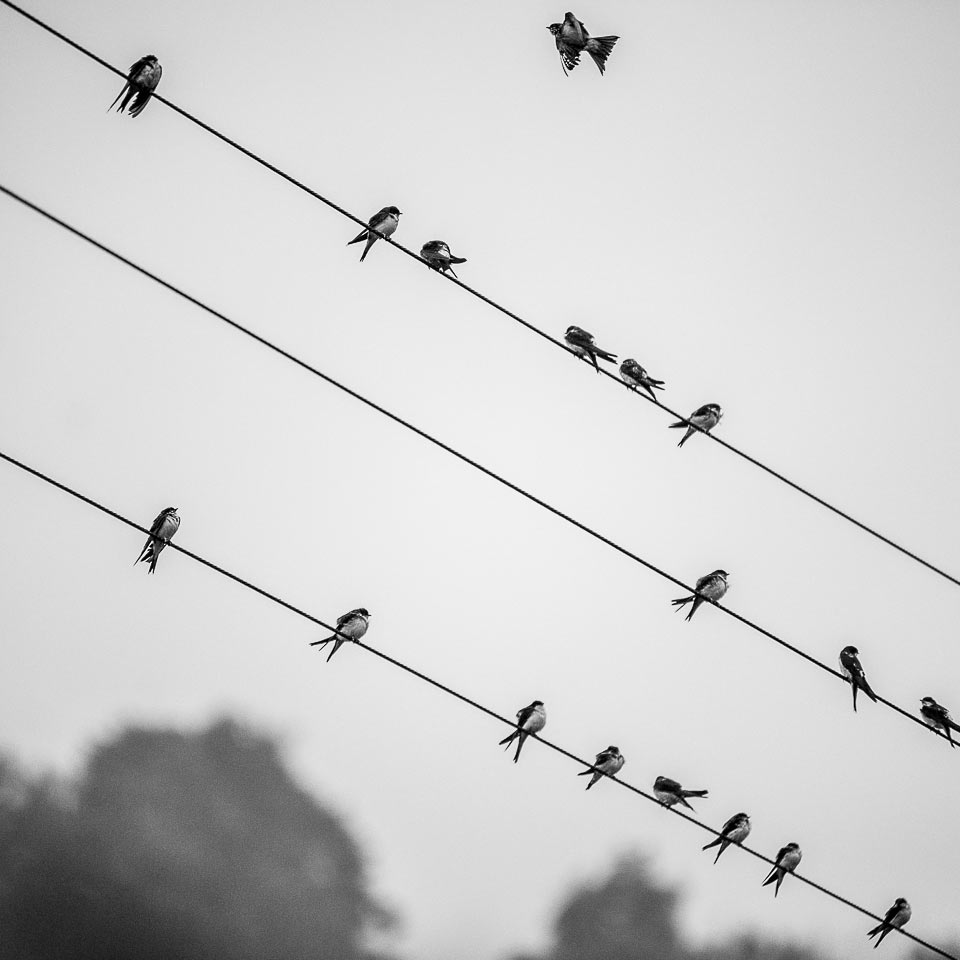 2016-09-14-herbstmelancholie-upf-4.66 Herbstmelancholie (Foto: Uli Pfeufer)