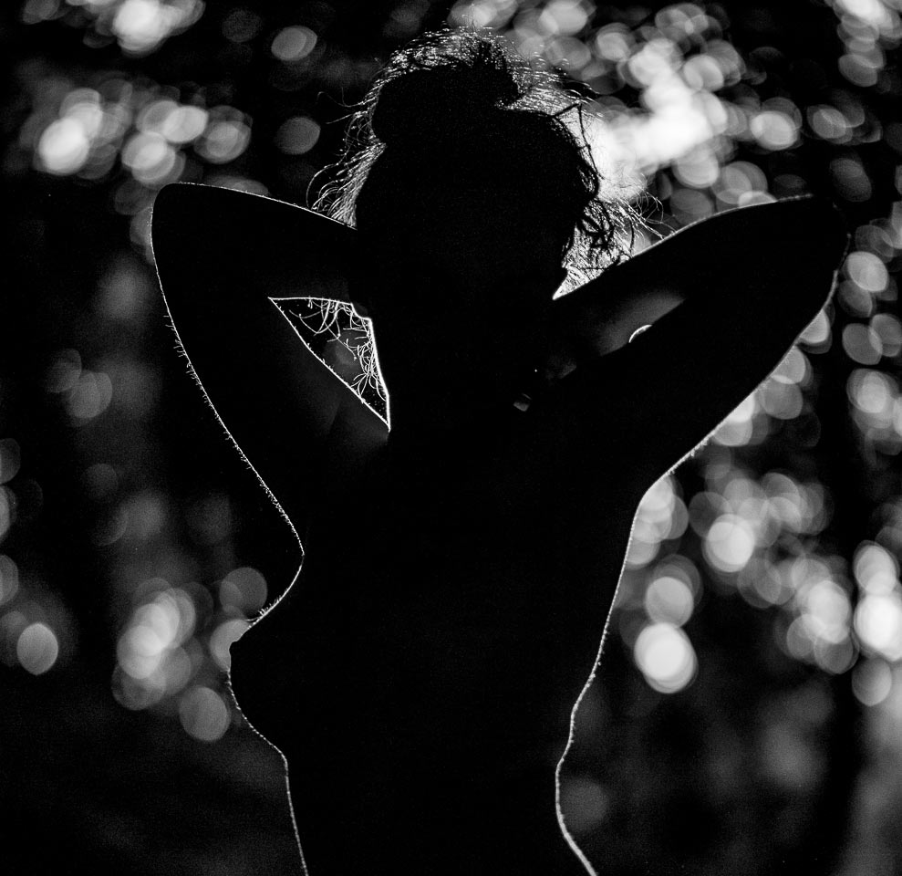 2016-09-25-silhouette-upf-7.66-1 Silhoutte (Foto: Uli Pfeufer)