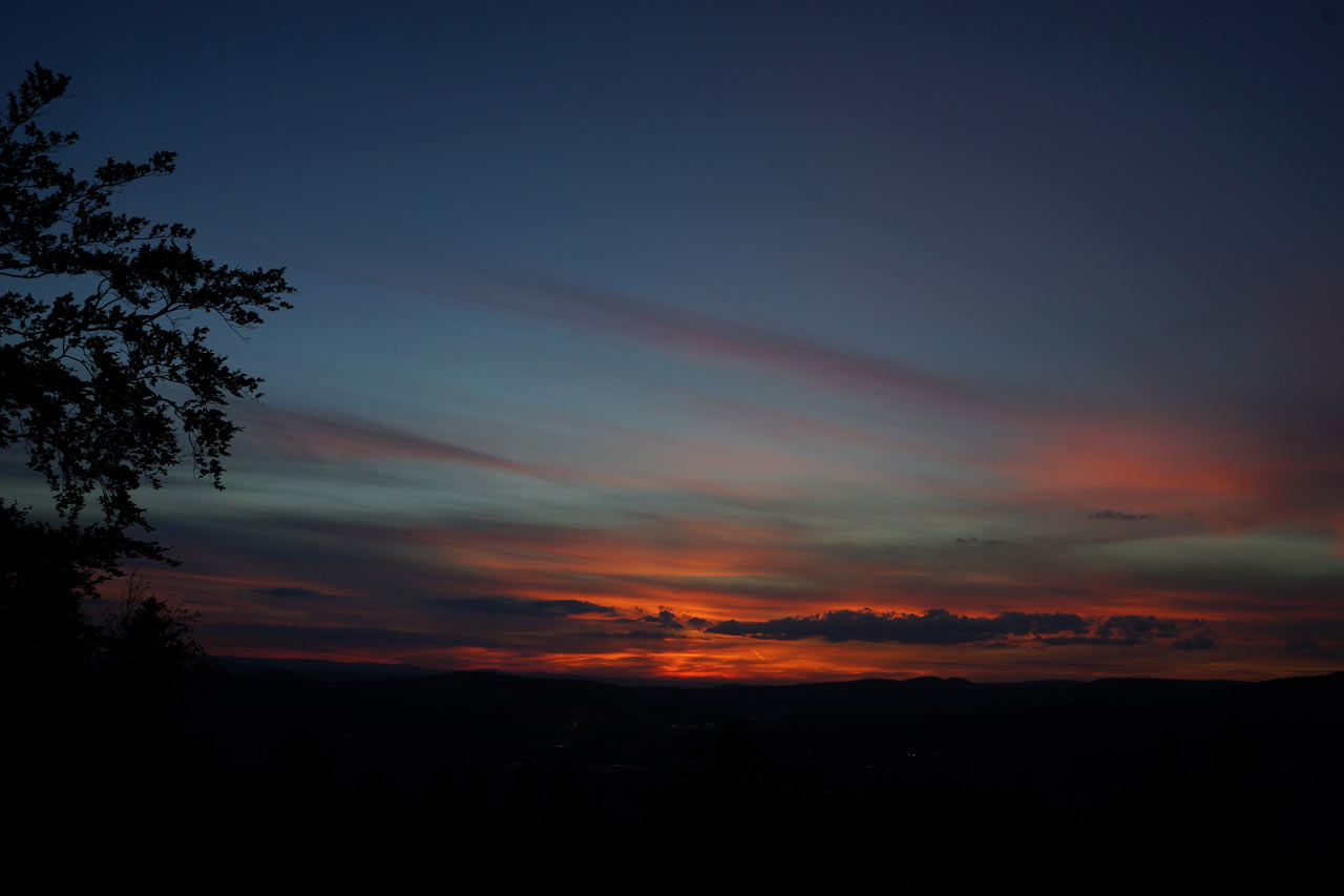 2016-09-27-ueber_allen_Wipfeln_ist_Ruh-sr-4 Über allen Wipfeln ist Ruh (Foto: Sylvi Raakow)