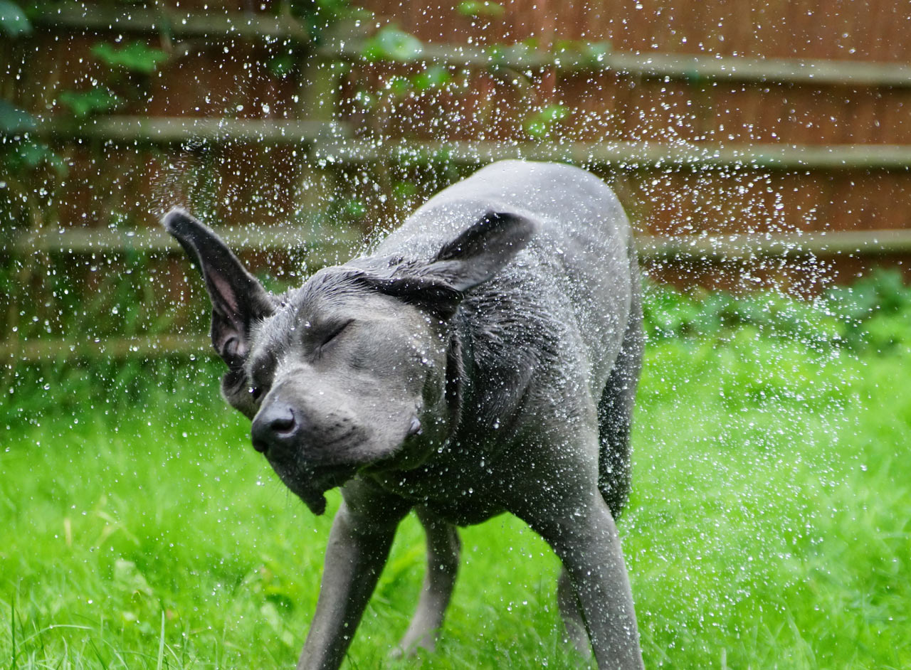 2016-09-29-Wasser_marsch-sr-6.5 Wasser marsch (Foto: Sylvi Raakow)