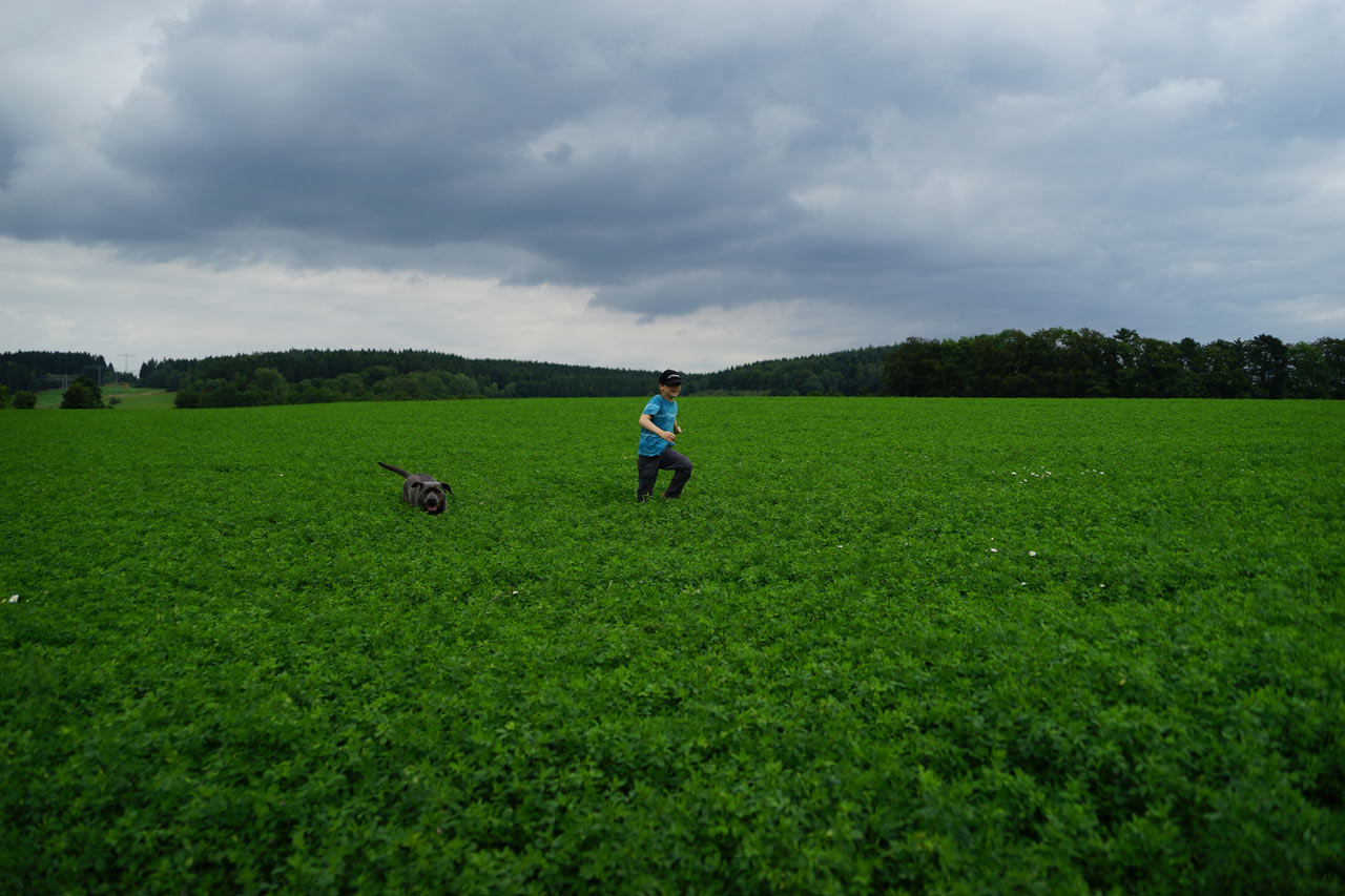 2016-09-zz01-1-Bewegung-sr-4 Serie: Bewegung (Foto: Sylvi Raakow)