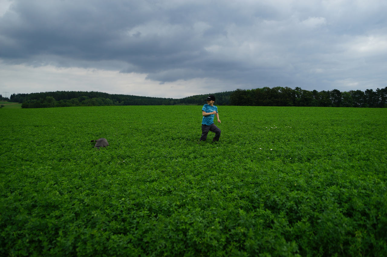 2016-09-zz01-3-Bewegung-sr-4 Serie: Bewegung (Foto: Sylvi Raakow)