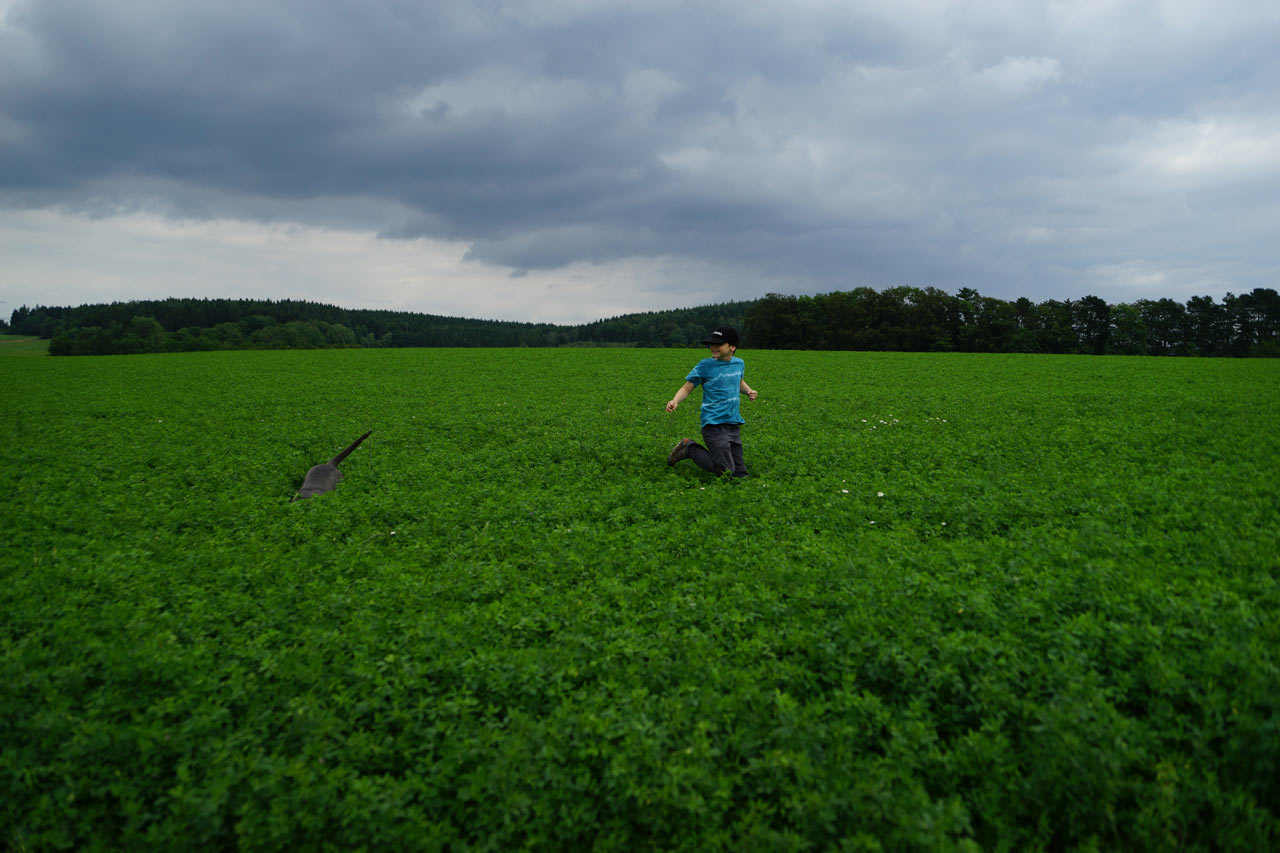 2016-09-zz01-4-Bewegung-sr-4 Serie: Bewegung (Foto: Sylvi Raakow)
