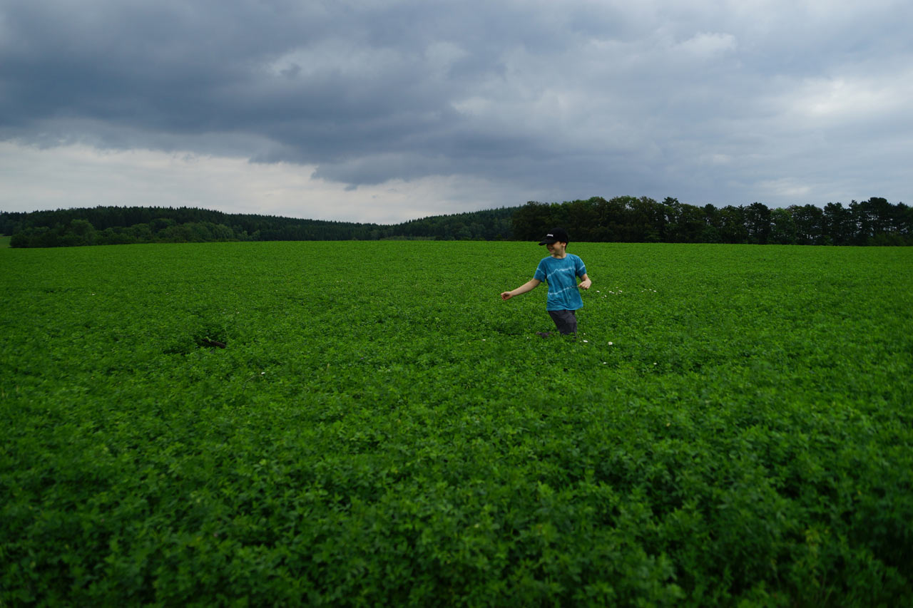 2016-09-zz01-5-Bewegung-sr-4 Serie: Bewegung (Foto: Sylvi Raakow)