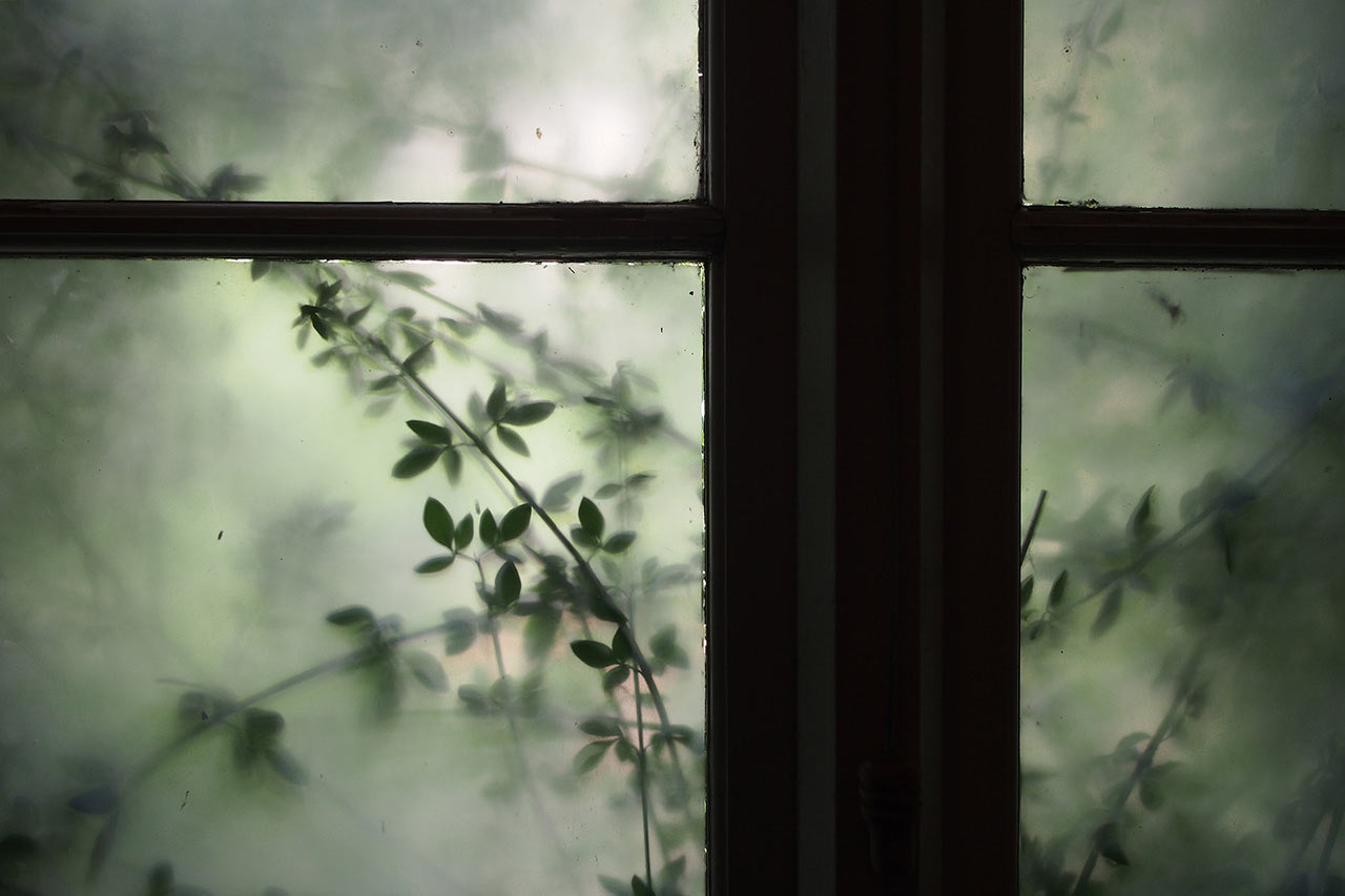 2016-10-09-fenster-mh-5.33 Fenster (Foto: Manuela Hahnebach)