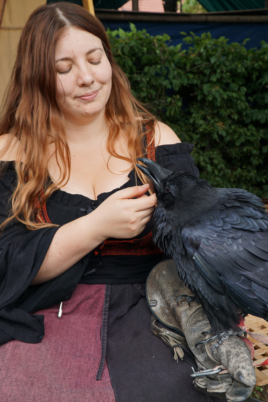 2016-10-14-Gluecksrabe-rok-5.33 Glücksrabe (Foto: Roland Kastner)