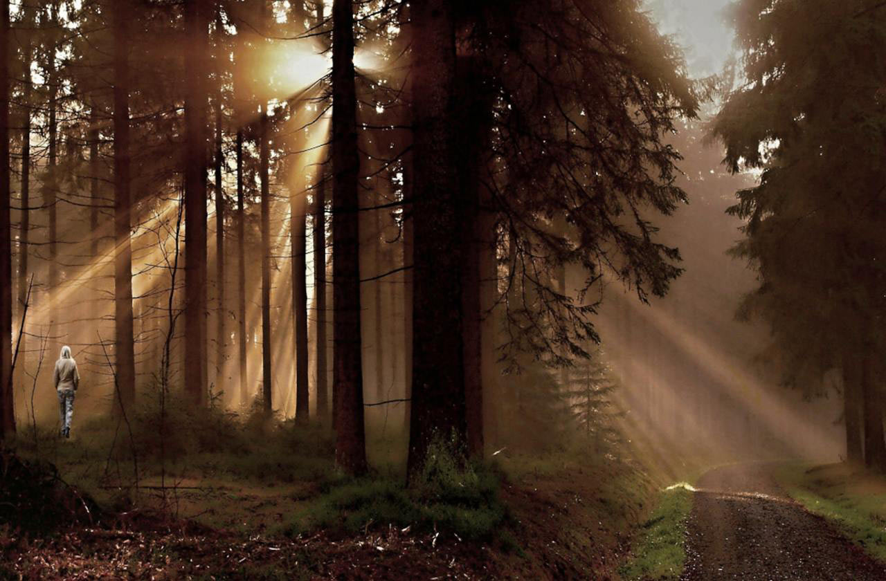 2016-10-26-Lichtstimmung-rr-7-1 Lichtstimmung (Foto: Ratomir Radomirovic)