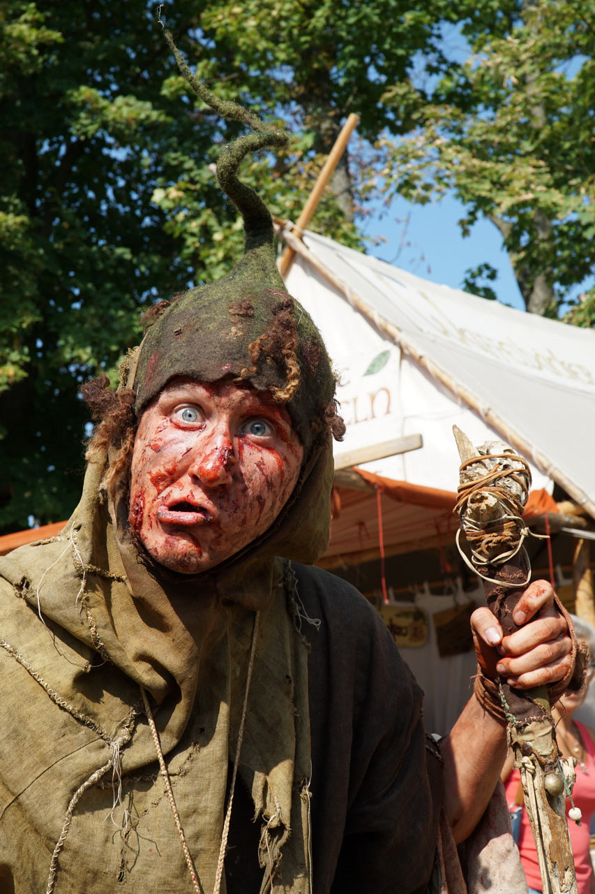 2016-10-zz02-3-Gaukler-rok-5.5 Serie: Gaukler (Foto: Roland Kastner)