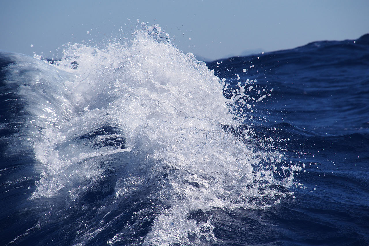 2016-10-zz03-3-welle-mh-7.66-1 Serie: Die Welle (Foto: Manuela Hahnebach)