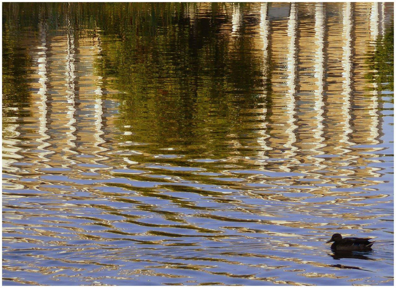 2016-10-zz04-1-spiegelung-khr-6.66 Serie: Spiegelung (Foto: Karl-Heinz Richter)