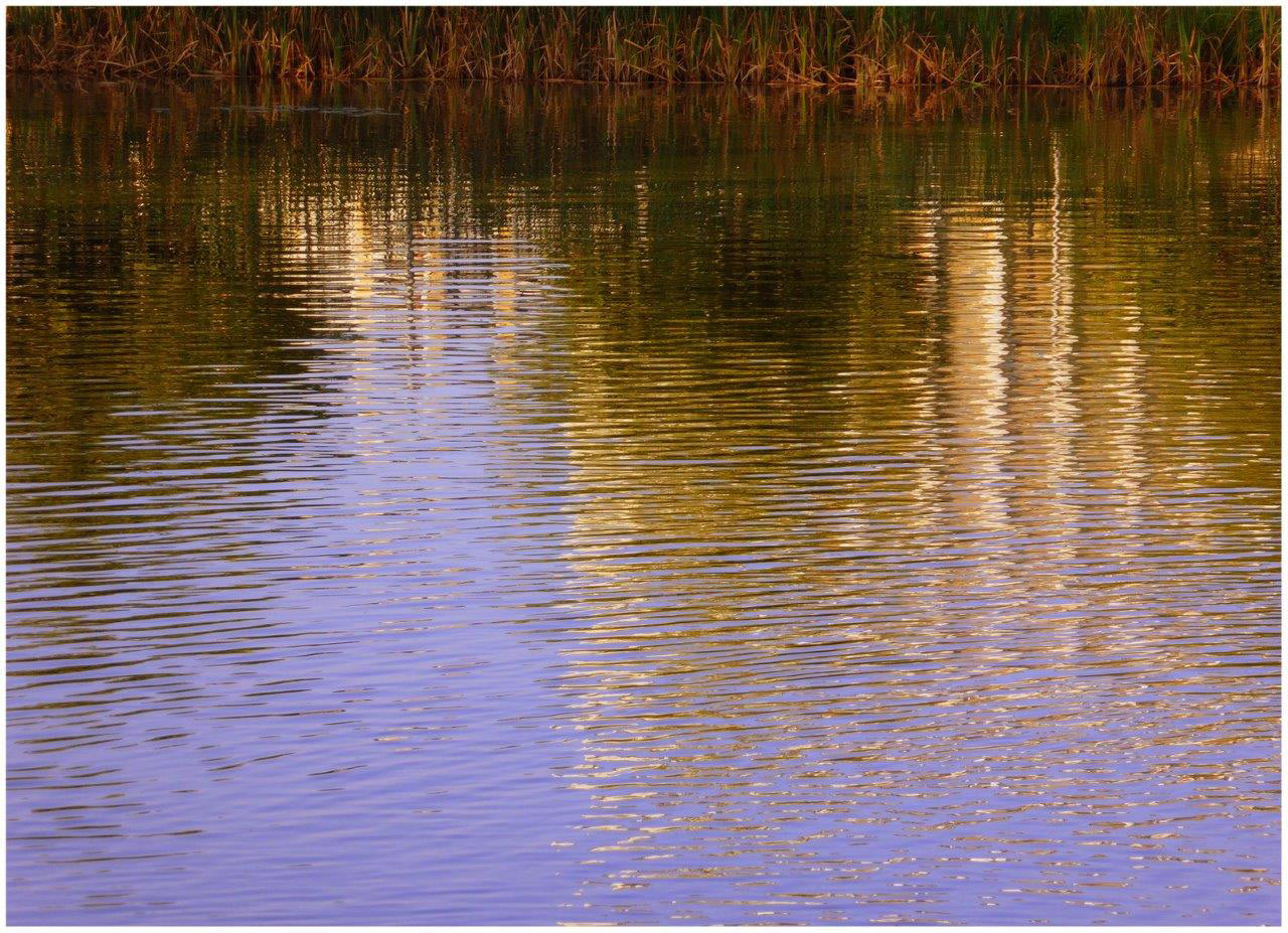 2016-10-zz04-2-spiegelung-khr-6.66 Serie: Spiegelung (Foto: Karl-Heinz Richter)