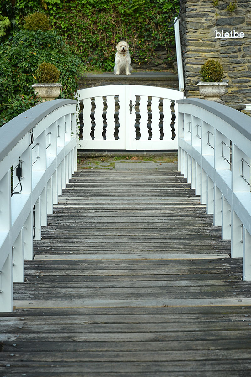 2016-11-03-bewachte-Bleibe-GG-4 Bewachte Bleibe (Foto: Günter Giese)