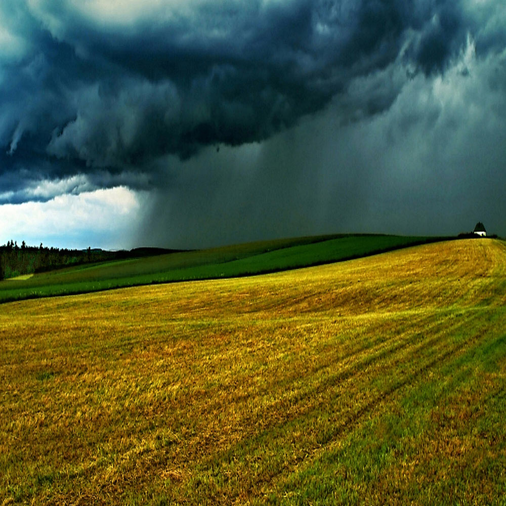 2016-11-07-coming-rain-OP-6 Coming Rain (Foto: OP)