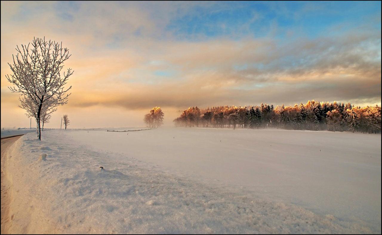 2016-11-17-Judenbach-SR-5 Judenbach (Foto: Sylvi Raakow)