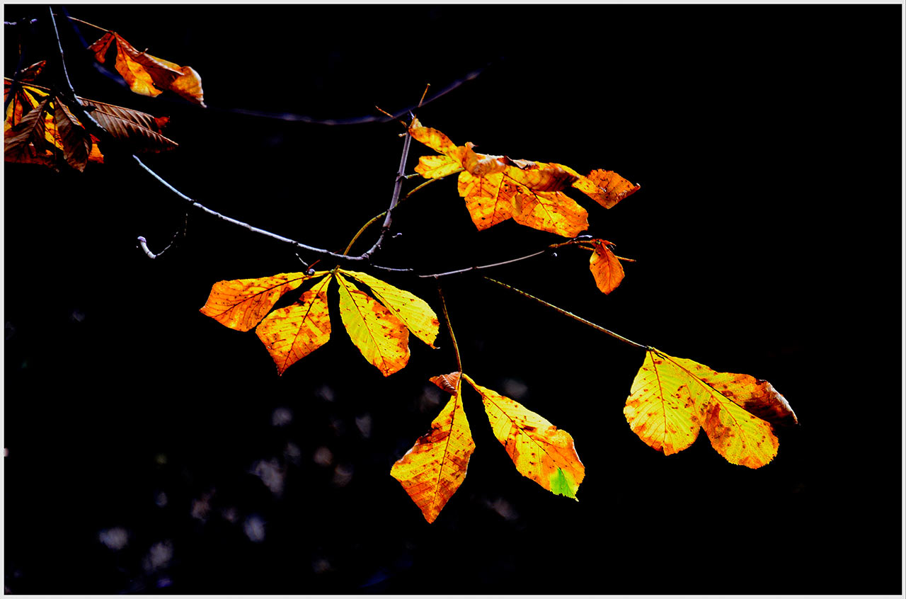 Kein Fotoclub