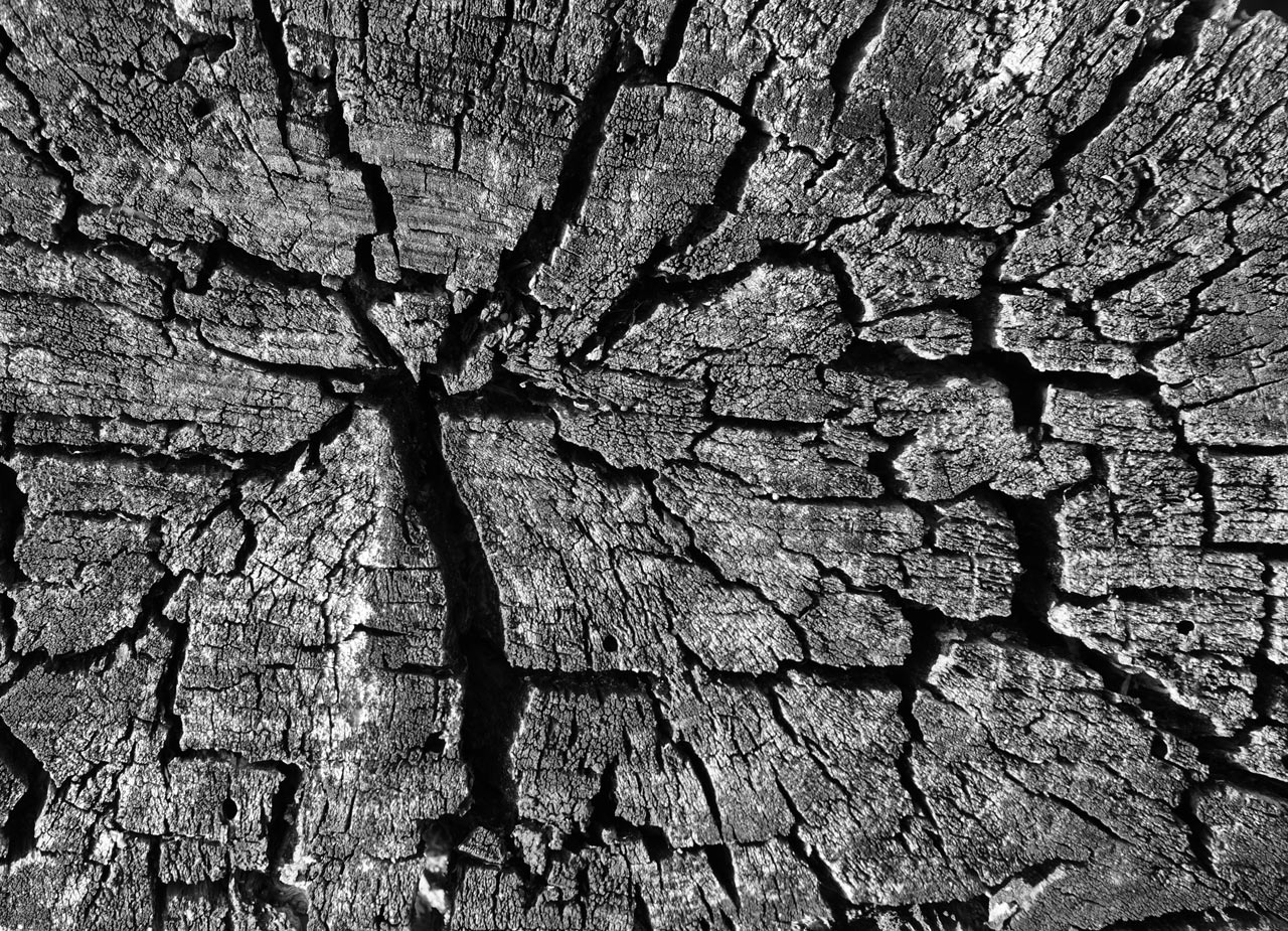 2016-11-40-zerrissen-DSC07327-SR-6 Zerrissen (Foto: Sylvi Raakow)