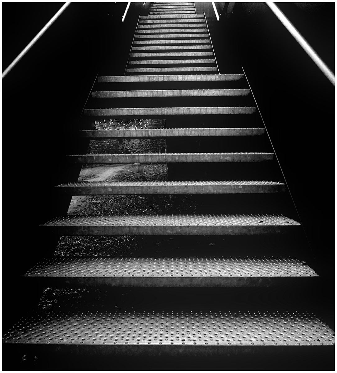 Fotoclub: Bild des Quartals 3.2025