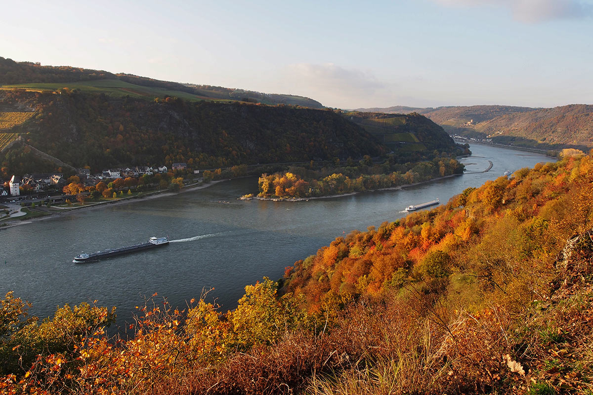 2016-11-zz05-1-der-rhein-im-herbst-MH-5 Serie: Der Rhein im Herbst (Foto: Manuela Hahnebach)