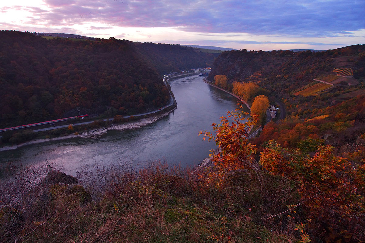 2016-11-zz05-2-der-rhein-im-herbst-MH-5 Serie: Der Rhein im Herbst (Foto: Manuela Hahnebach)