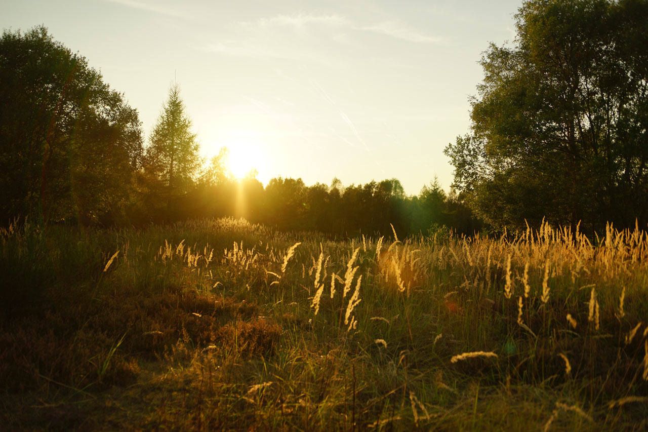 2016-11-zz06-1-Herbstabend-DSC07439-SR-5 Serie: Herbstabend (Foto: Sylvi Raakow)