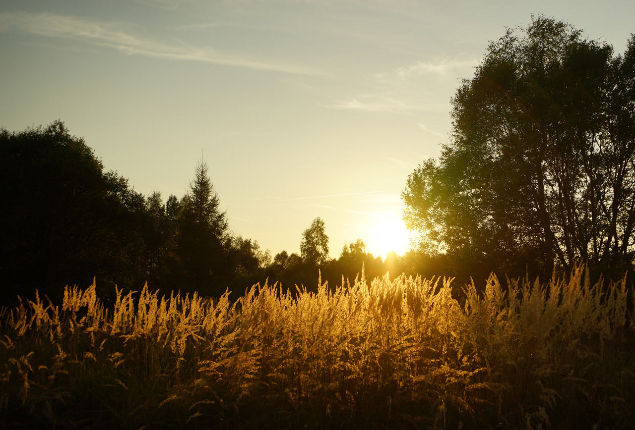 2016-11-zz06-2-Herbstabend-DSC07445-SR-5 Serie: Herbstabend (Foto: Sylvi Raakow)