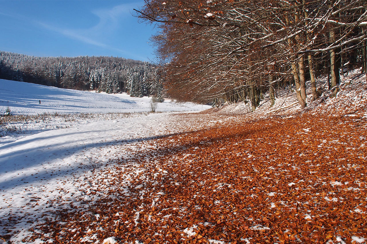 2016-12-08-Erster-Schnee-im-Vessertal-P0058694-ak-6 Erster Schnee im Vessertal (Foto: Andreas Kuhrt)