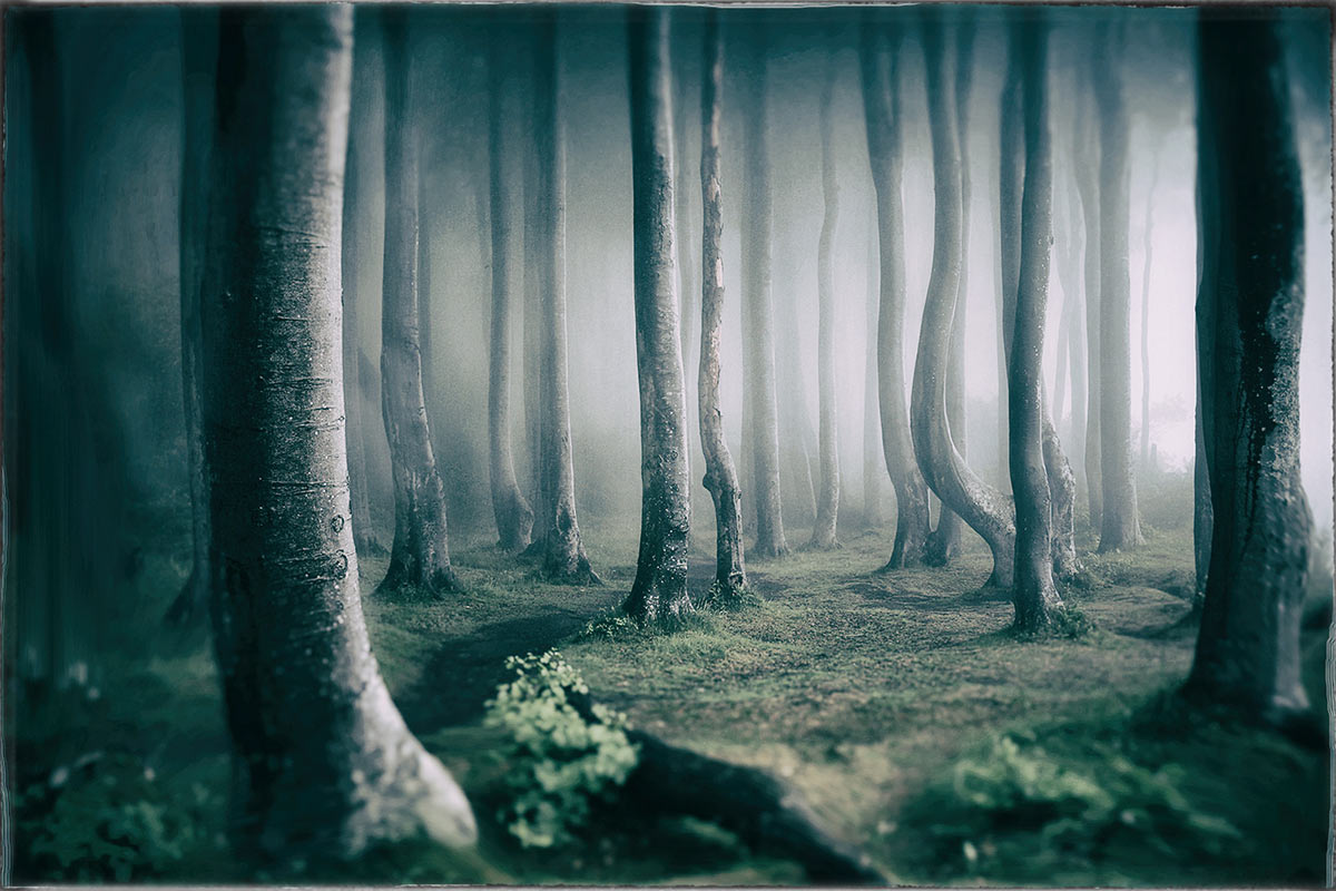 Fotoclub