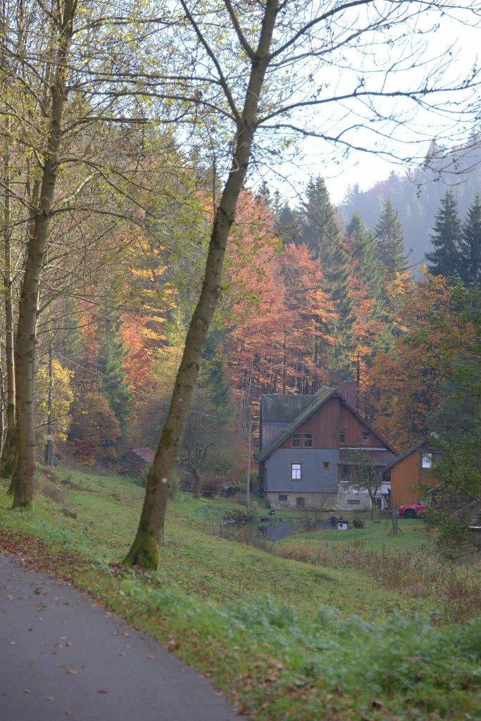 2016-12-12-Herbst-DSC4029-khr-3 Herbst (Foto: Karl-Heinz Richter)
