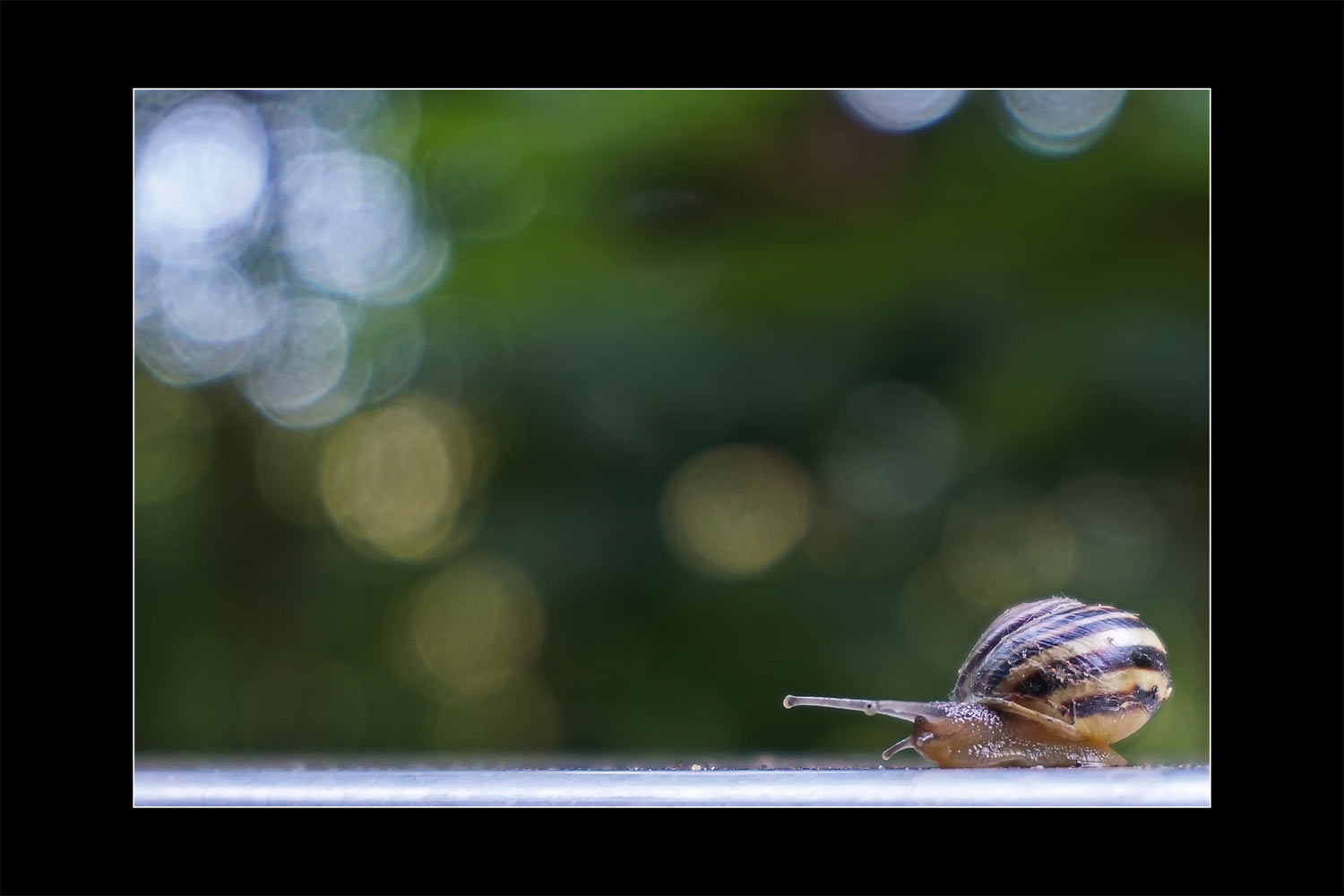 2016-Mappe-Fotoclub-Kontrast-Suhl-02-ROK-Endspurt Endspurt (Foto: Roland Kastner)