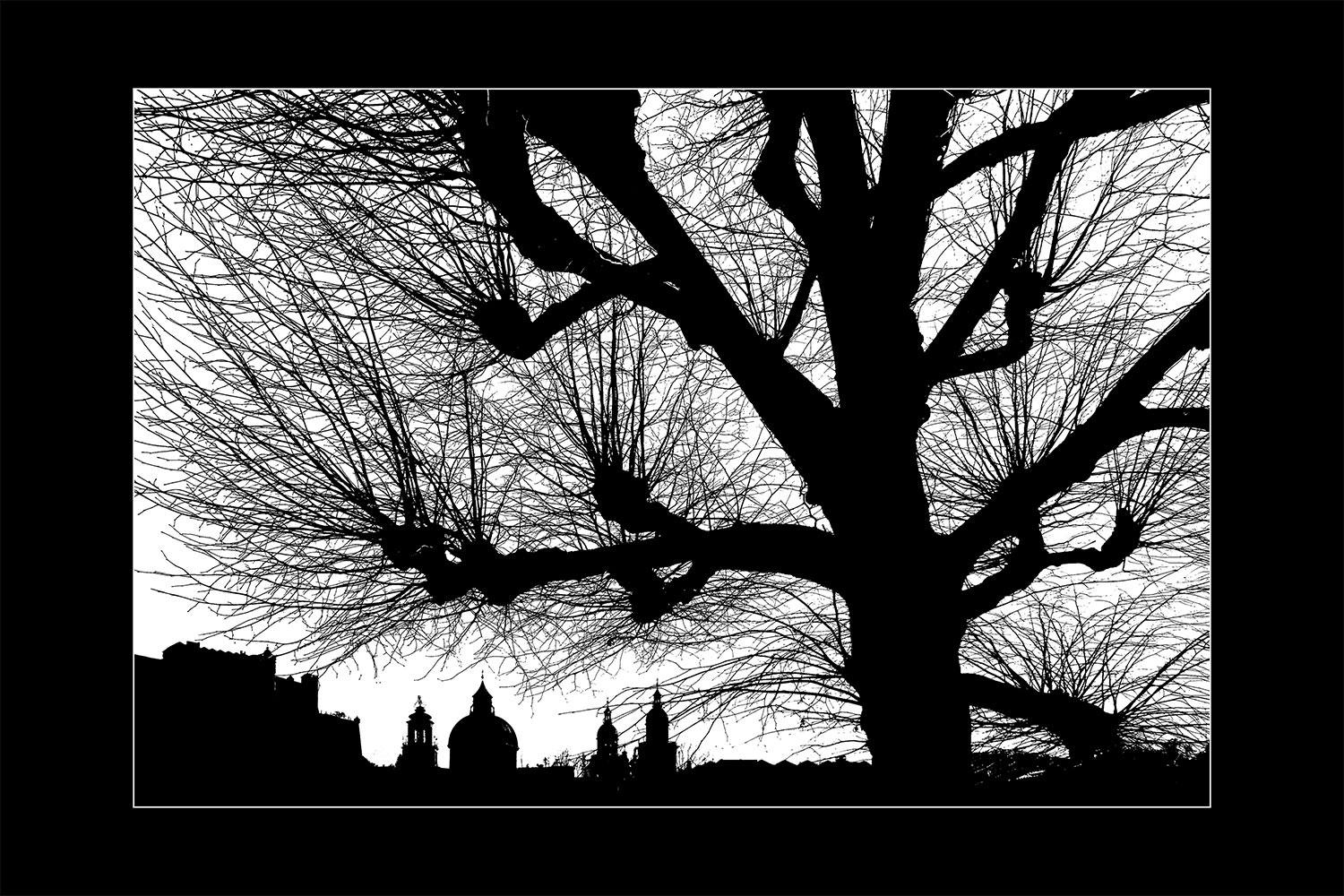 2016-Mappe-Fotoclub-Kontrast-Suhl-08-AK-Baum-Haeuser Baum-Häuser (Foto: Andreas Kuhrt)