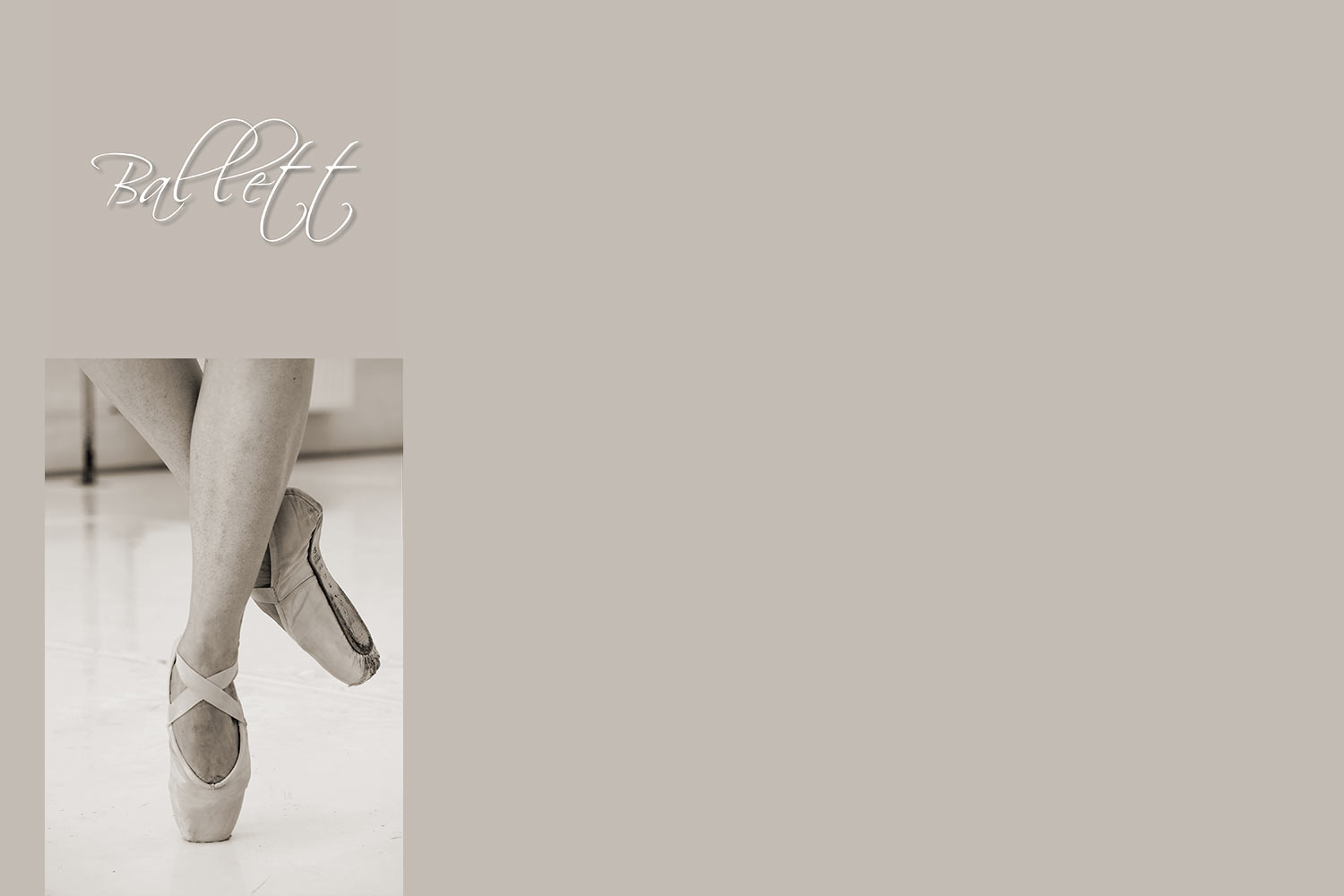 2016-Mappe-Fotoclub-Kontrast-Suhl-Clubprojekt-Ballett-01 Ballett (Foto: Manuela Hahnebach)