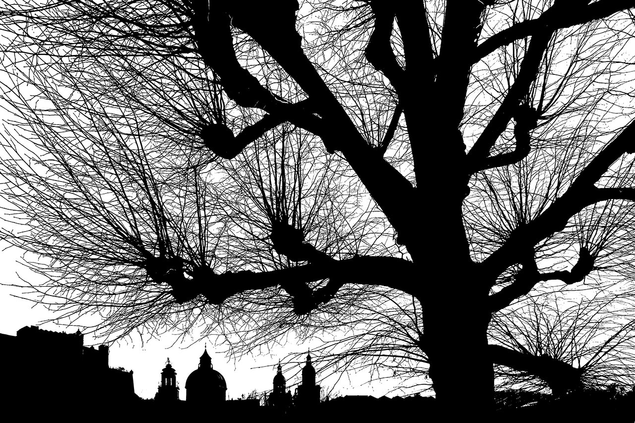 2016-bdj-08-Baum-Town-Salzburg-AK-7.66 Baum-Town Salzburg (Foto: Andreas Kuhrt)