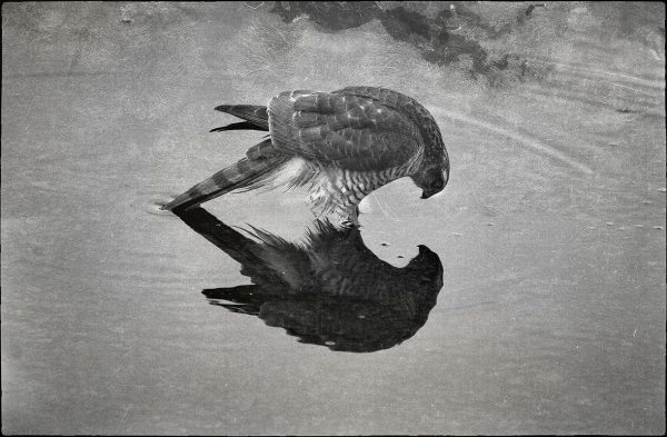 Besucher (Foto: Rainer Koch)