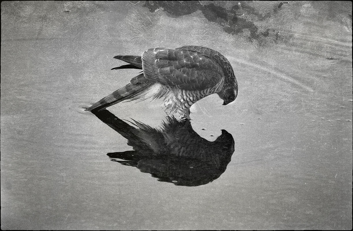 Besucher (Foto: Rainer Koch)