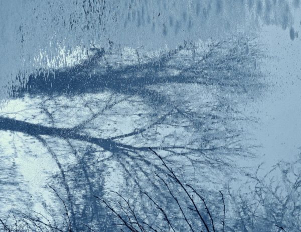 Eisgemälde (Foto: Karl-Heinz Richter)