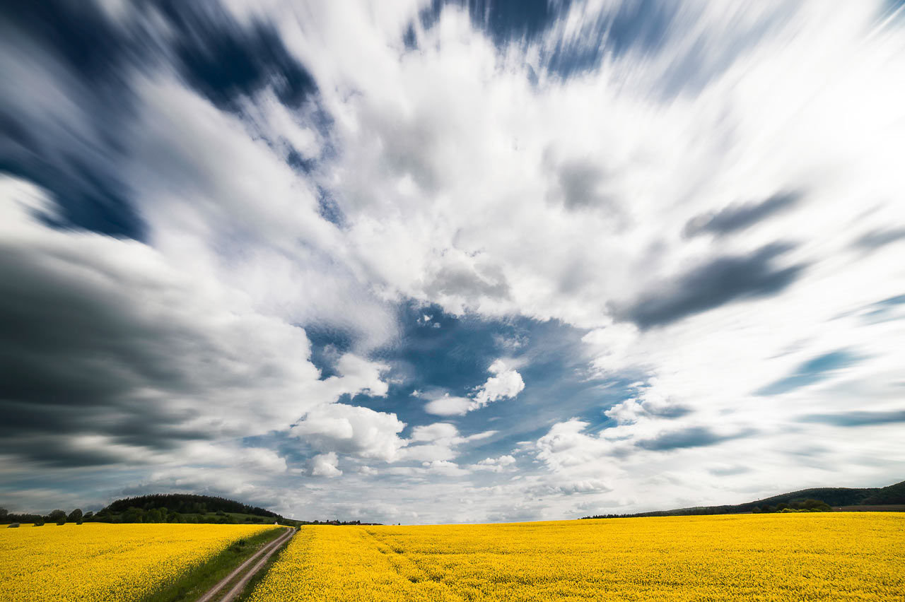 Fliehend (Foto: Uli Pfeufer)