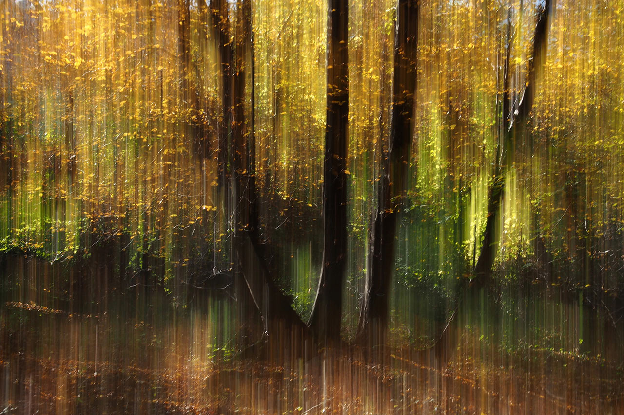 Herbst (Foto: Manuela Hahnebach)