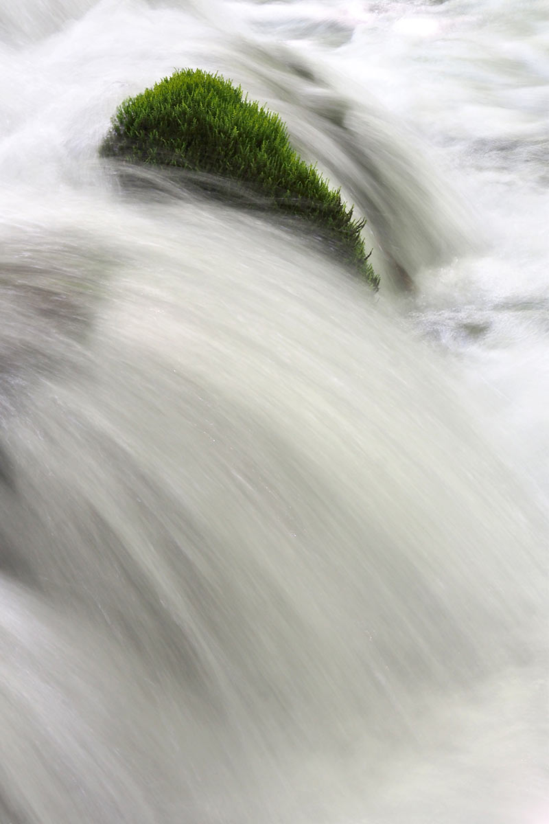 Im Fluss (Foto: Andreas Kuhrt)