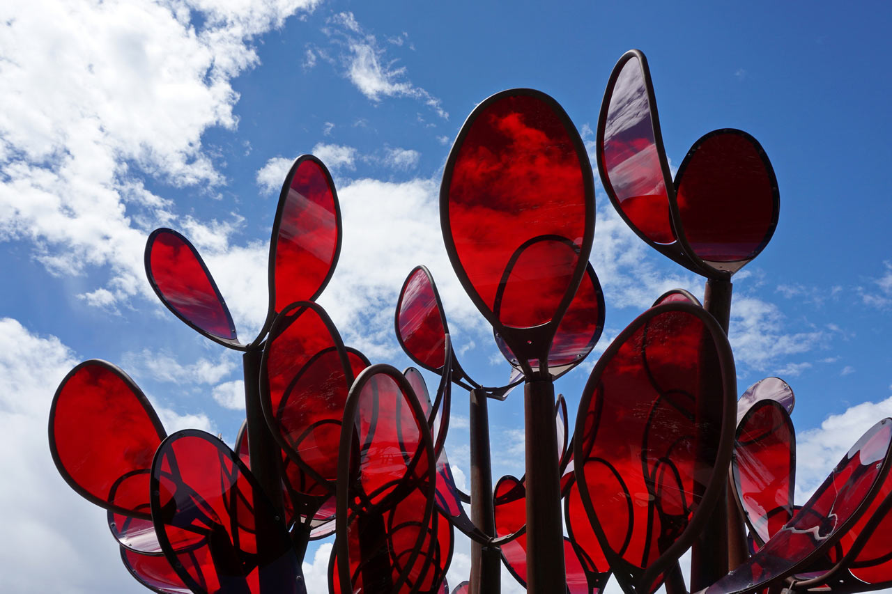 Kontrast (Foto: Roland Kastner)