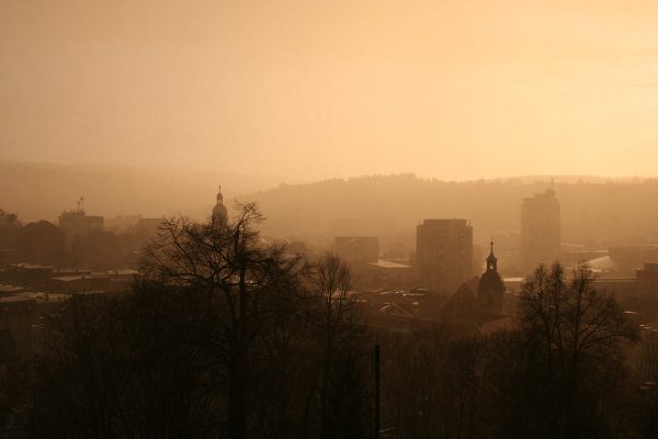 Nach dem Regen (Foto: Carolin Fritz)