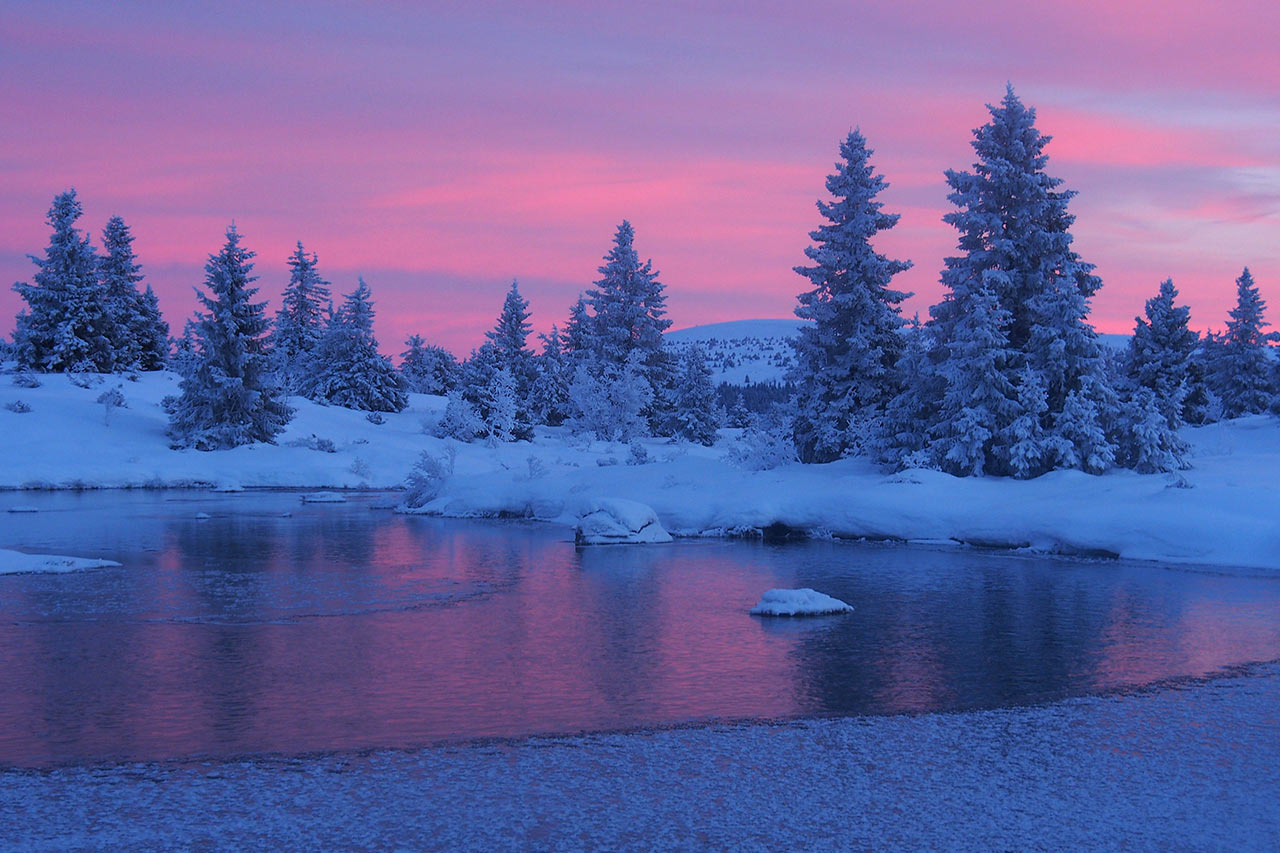 Nordisches Wintermärchen (Foto: Andreas Kuhrt)
