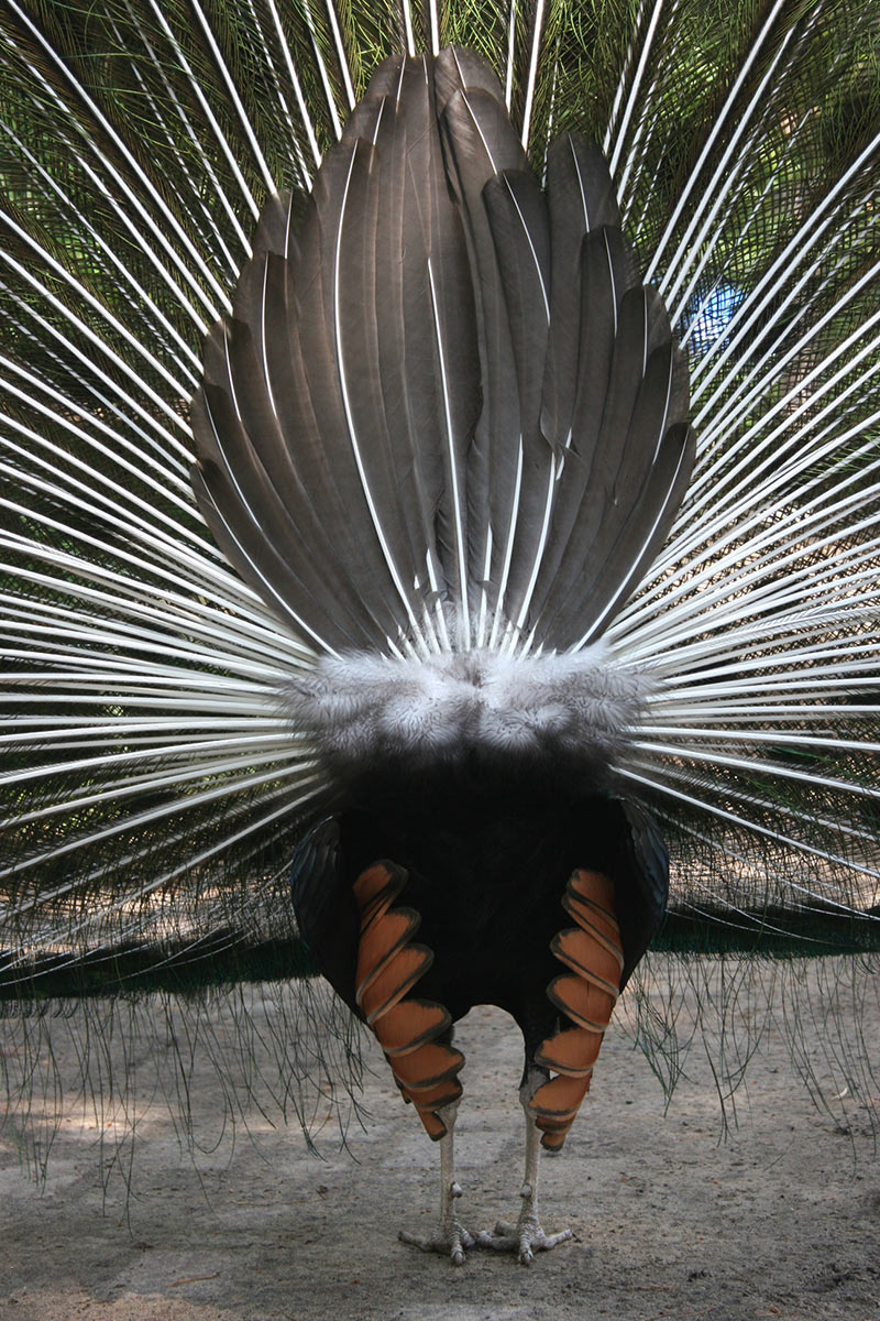 Po-sieren (Foto: Carolin Fritz)